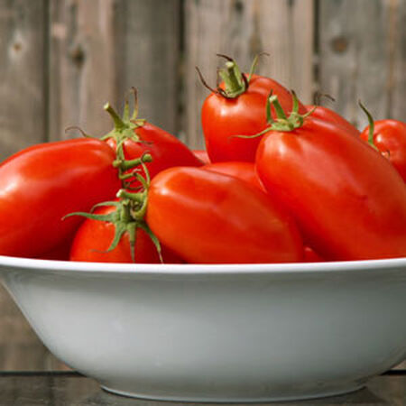 La Roma III, (F1) Tomato Seeds image number null
